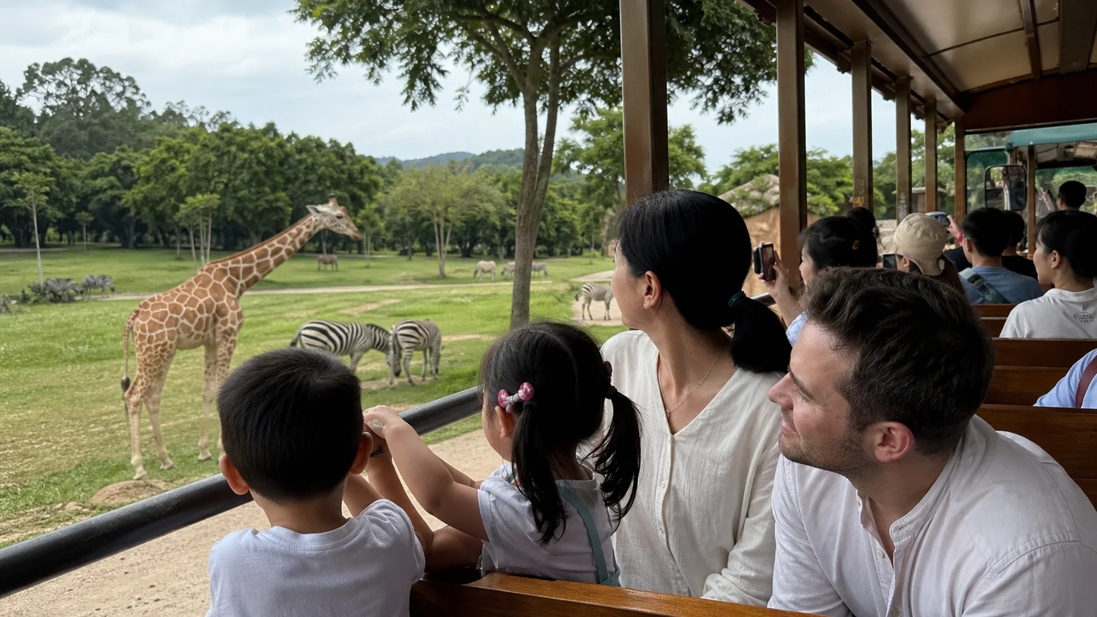 A family watching giraffes and zebras from the safari train at a Guangzhou wildlife park