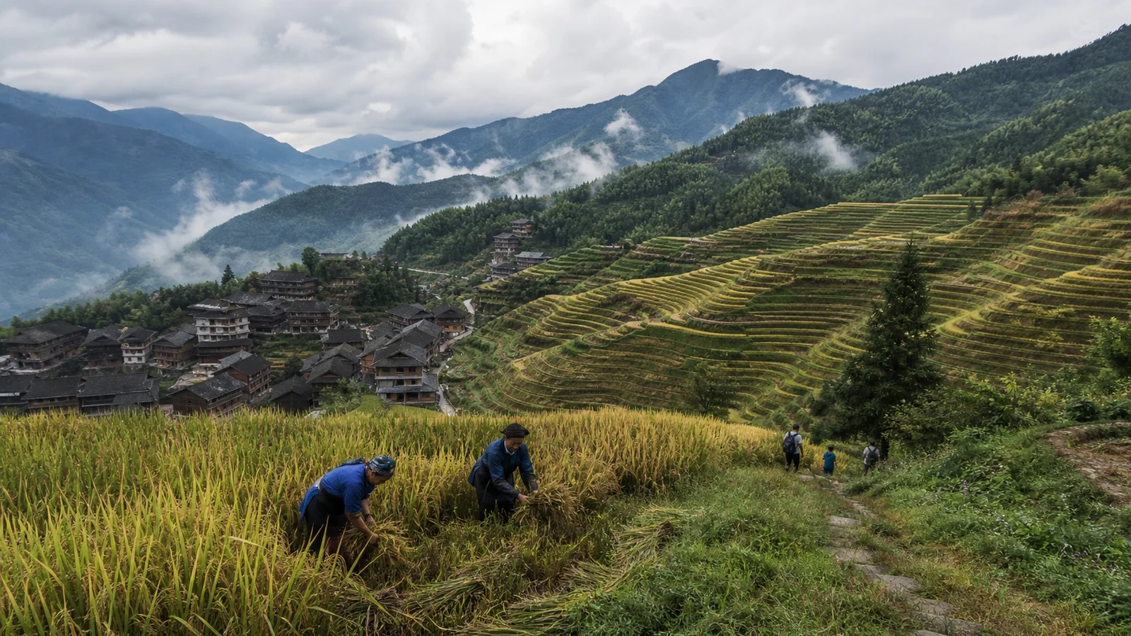 Farmers working among the Longji Rice Terraces above Dazhai village