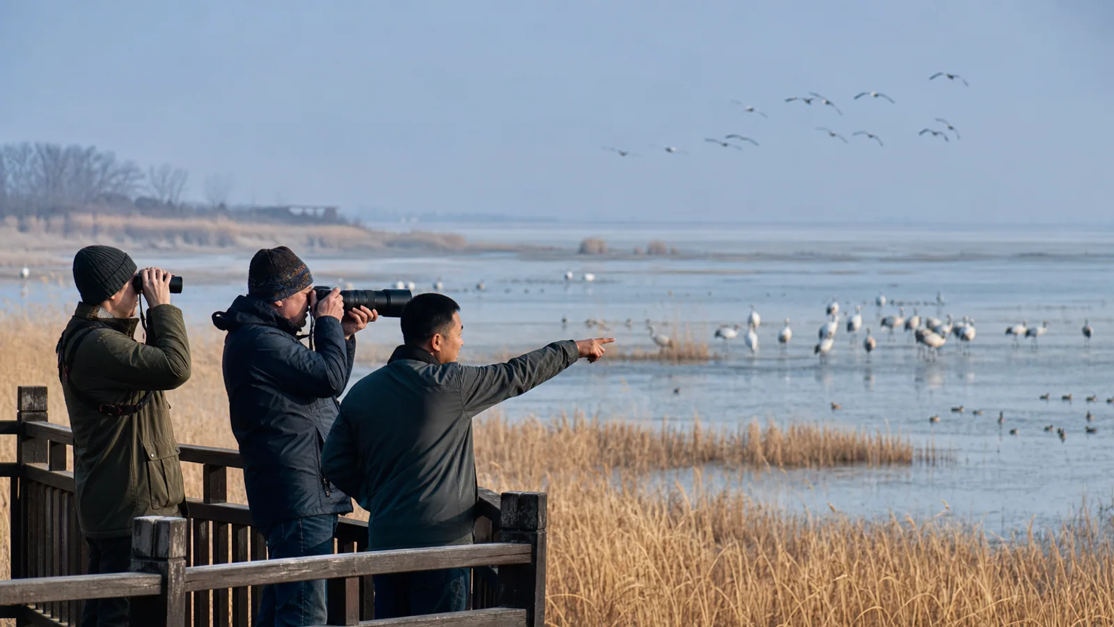 International birdwatchers observing winter cranes from a viewing platform at Poyang Lake