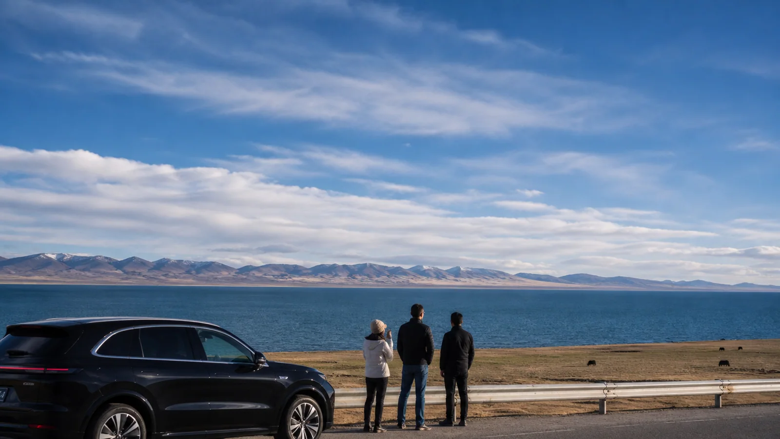 International travelers and private chauffeur at a legal viewpoint beside Qinghai Lake