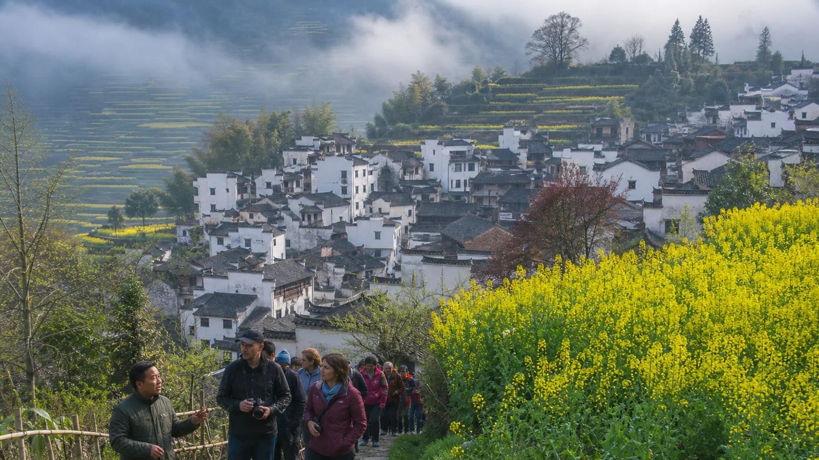 International travelers walking beside Wuyuan rapeseed terraces and Huizhou villages in spring