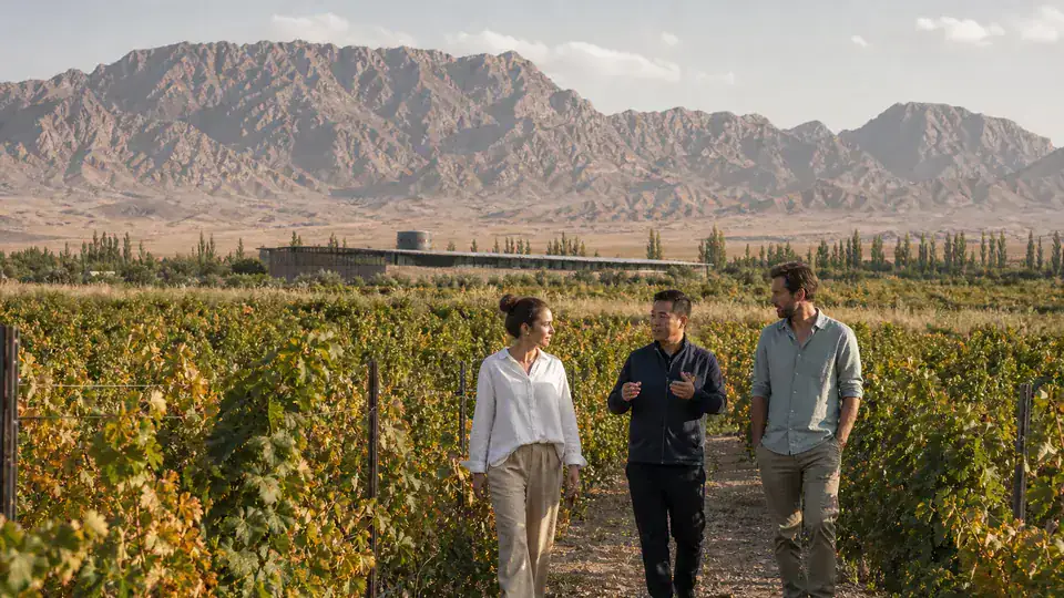 International travelers walking through a Ningxia vineyard below Helan Mountain