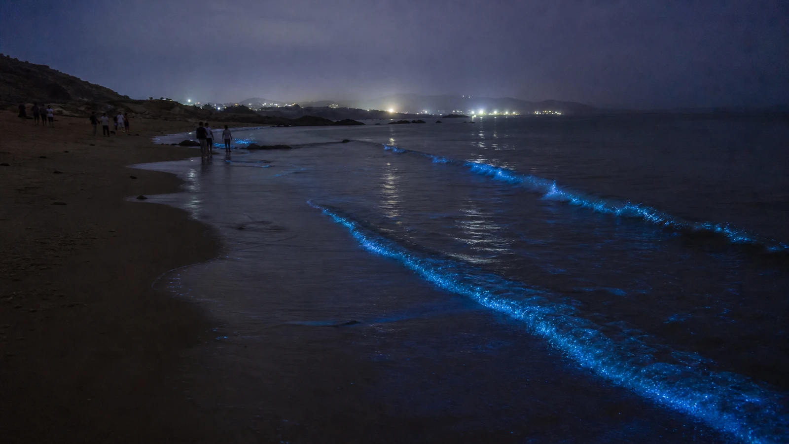 Blue bioluminescent waves reaching the night shore on Pingtan Island
