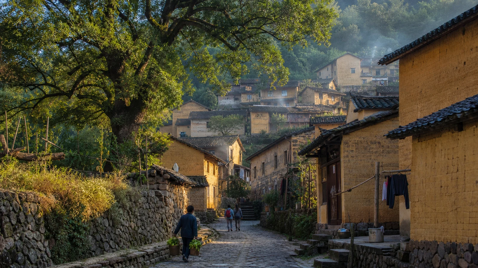 Rammed earth houses and old camphor trees in a Songyang mountain village